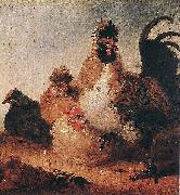 Aelbert Cuyp Rooster and Hens oil painting on canvas